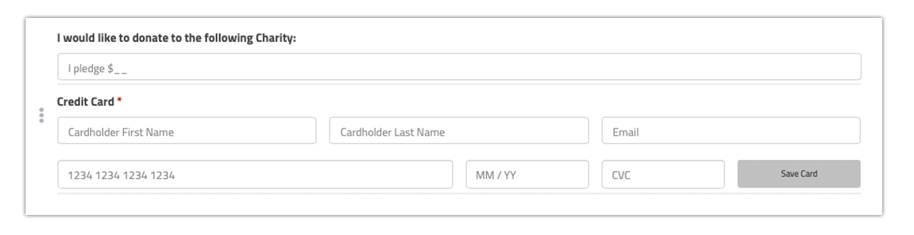 formdr_stripe_donation_final.png